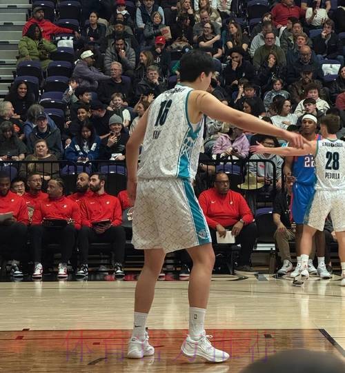 杨瀚森14分17板2助2帽半场两双！混音二番战再胜蓝队